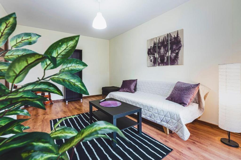 Apartament Niecala Queens Superior 卢布林 外观 照片