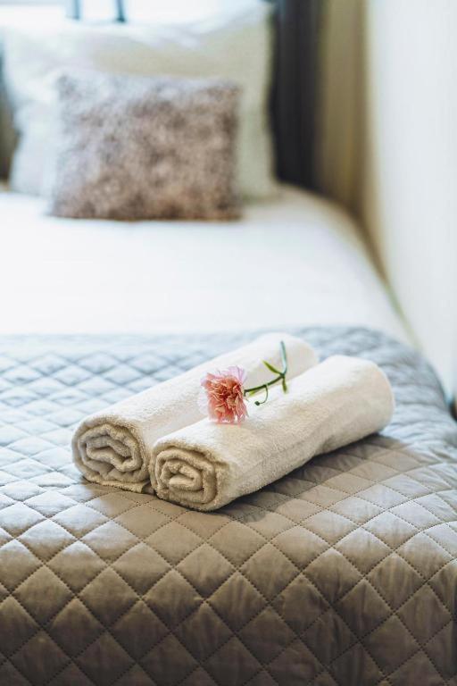 Apartament Niecala Queens Superior 卢布林 外观 照片